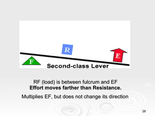 RF (load) is between fulcrum and EF  Effort moves farther than Resistance.   Multiplies EF, but does not change its direction   