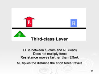 EF is between fulcrum and RF (load)  Does not multiply force  Resistance moves farther than Effort.   Multiplies the distance the effort force travels   