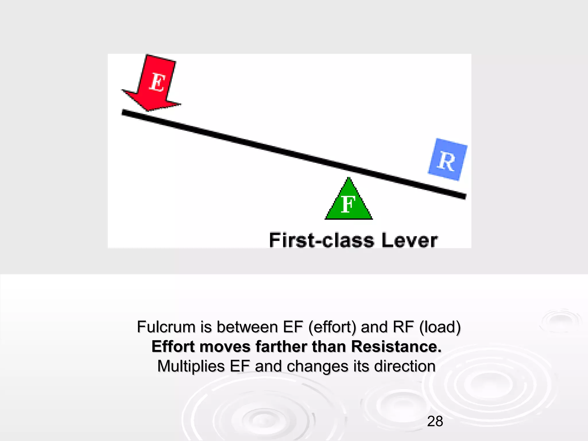 Fulcrum is between EF (effort) and RF (load)
Effort moves farther than Resistance.
Multiplies EF and changes its direction
28

 