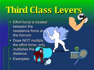 Third Class Levers
 Effort force is located
between the
resistance force and
the fulcrum.
 Does NOT multiply
the effort force, only
multiplies the
distance.
 Examples:
 