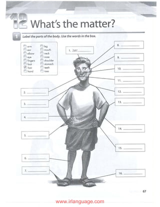 Workbook 12 Pdf Workbook 12 Pdf
