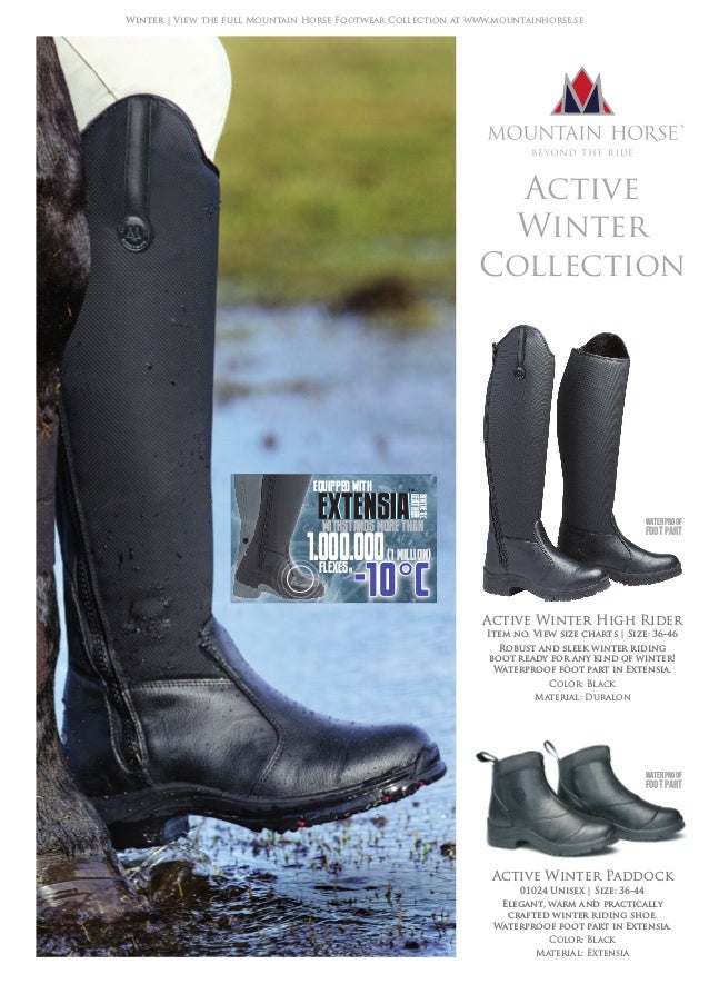 active winter high rider