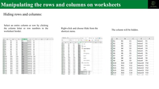 Manipulating the rows and columns on worksheets
Hiding rows and columns:
Select an entire column or row by clicking
the column letter or row numbers in the
worksheet border.
Right-click and choose Hide from the
shortcut menu.
The column will be hidden.
 