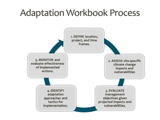 Adaptation Workbook Process
 