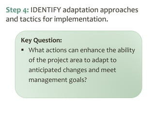 Adaptation Workbook Steps | PDF