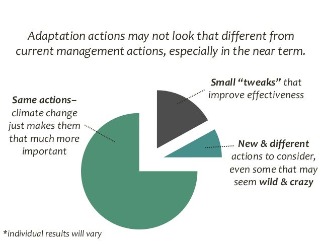 Adaptation Workbook Steps