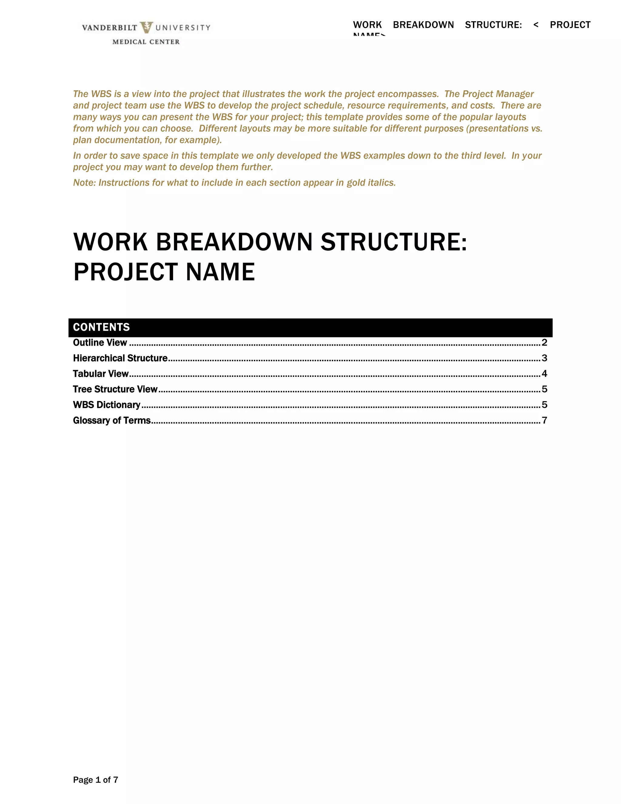 Work Breakdown Structure Template 1 Docx Work Breakdown Structure Template 1 Docx