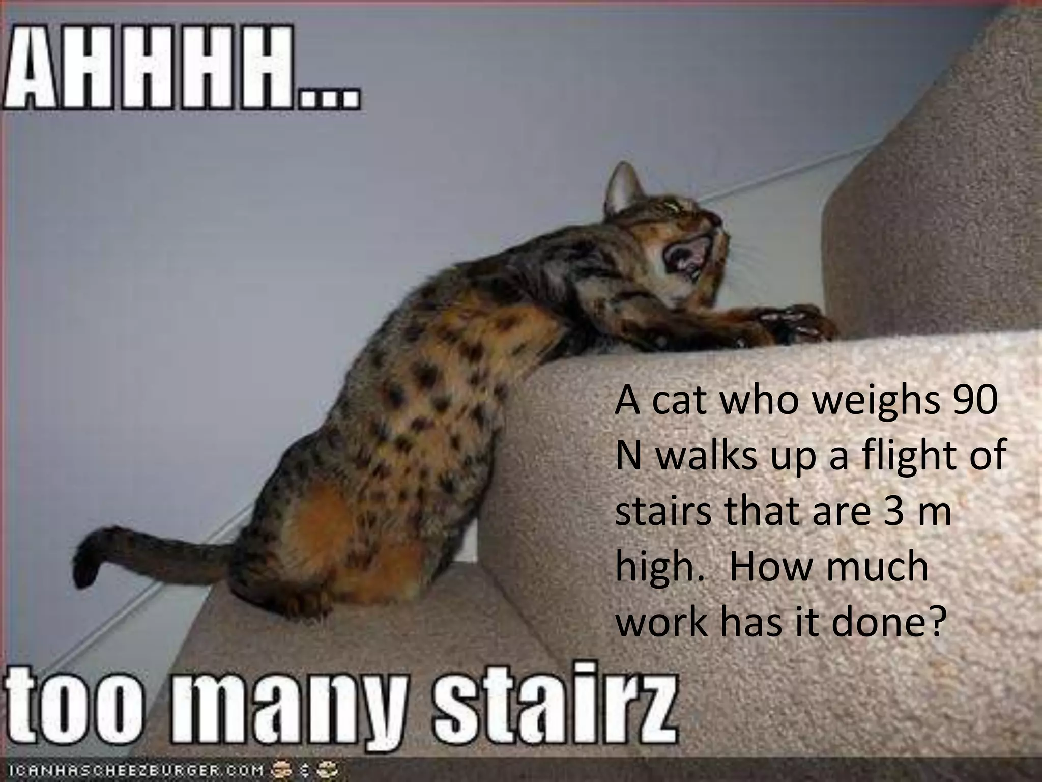 A cat who weighs 90 N walks up a flight of stairs that are 3 m high.  How much work has it done?