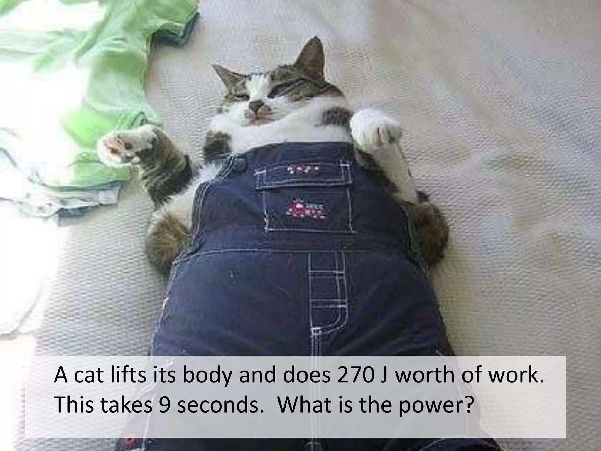 A cat lifts its body and does 270 J worth of work.  This takes 9seconds.  What is the power?