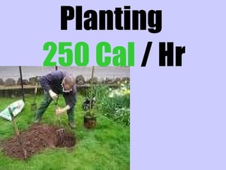 Planting
250 Cal / Hr