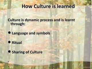 How Culture is learned
Culture is dynamic process and is learnt
through:
Language and symbols
Ritual
Sharing of Culture...