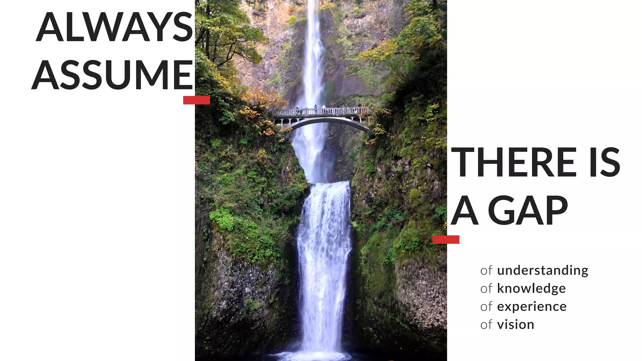 ALWAYS
ASSUME
THERE IS
A GAP
of understanding
of knowledge
of experience
of vision
 