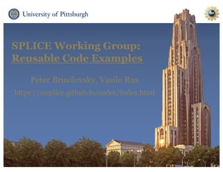 SPLICE Working Group:
Reusable Code Examples
Peter Brusilovsky, Vasile Rus
https://cssplice.github.io/codex/index.html
 