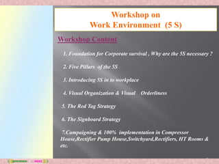 Work environment 5S | PDF