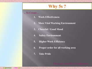 Work environment 5S | PDF