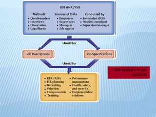 lii
lii
r
Job analysis in per
spective
 