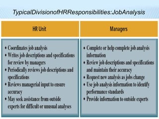 TypicalDivisionofHRResponsibilities:JobAnalysis
 