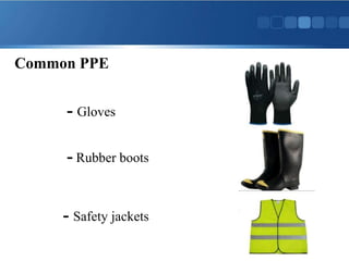 Common PPE
- Gloves
- Rubber boots
- Safety jackets
 