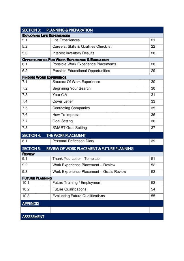 professional experience and goals