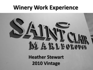 Winery Work Experience Heather Stewart 2010 Vintage 
