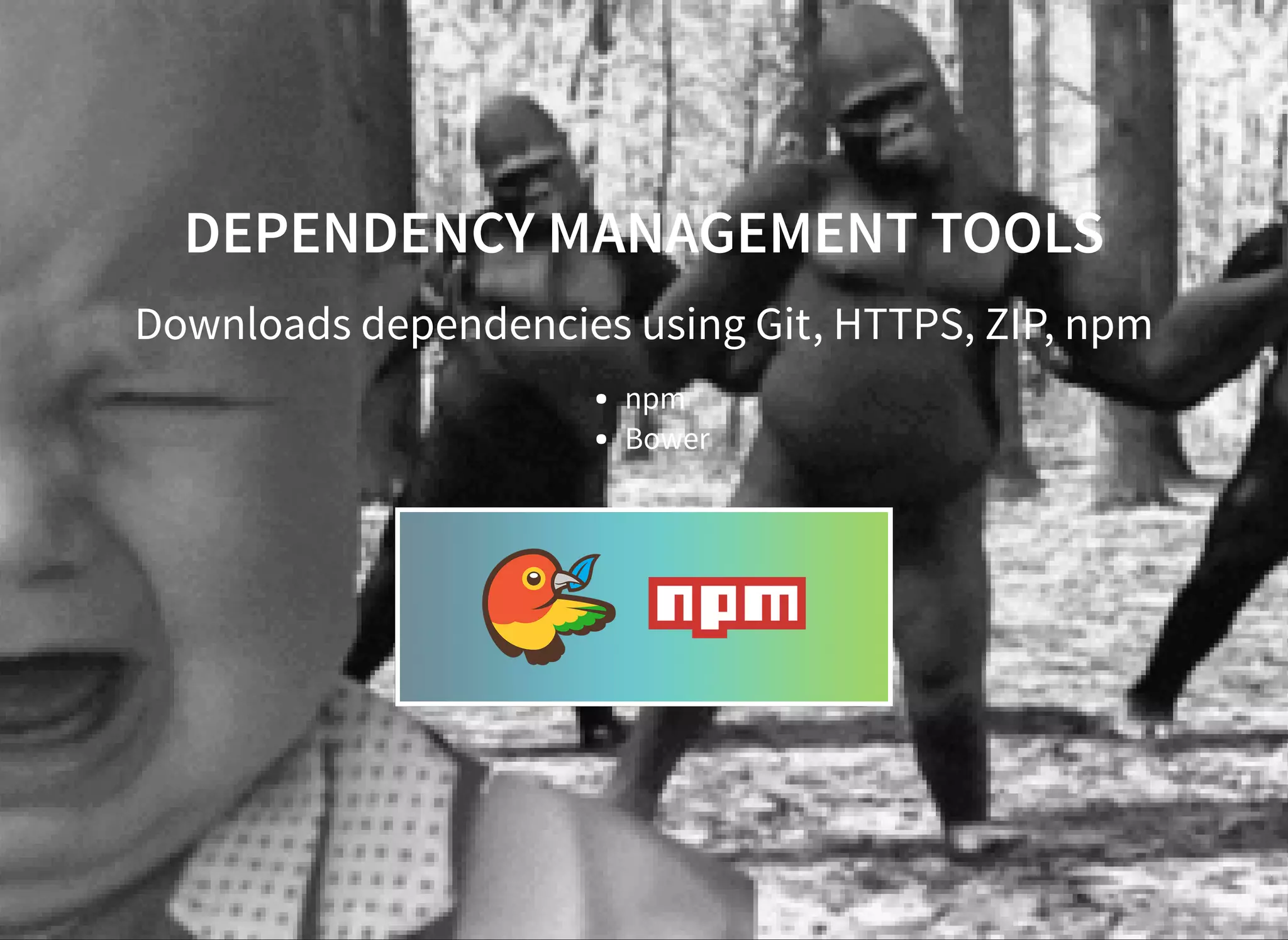 DEPENDENCY MANAGEMENT TOOLS Downloads dependencies using Git, HTTPS, ZIP, npm npm Bower 
