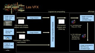 Les VFX
                                                        Logiciel de compositing                                                     affichage

Image camera                                                                                                                Image composite
brute / scan                           Image linéaire                                                                       10log avec
10bits log                                                                                                                   pré-étalonnage




                                                            Image composite linéaire
                 Conversion courbe                                                      Conversion     Lut pré-étalonnage
                camera vers linéaire                                                   linéaire vers    10log vers 10log
                                                                                         10bits log
 Stock-shot
 Rec709                                Image linéaire
                                                                                                       Lut 3D d'affichage
                                                                                                        10Log vers Lin
                                                                                                         Rec709 avec
                                                                                                         simulation film
                Conversion « Rec709 »
                    vers linéaire
Image de
synthèse «exr                                                                                                           Image composite lin
linéaire »                                                                                                              REC709 avec
                                                                                                                        pré-étalonnage
 