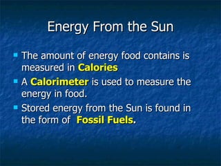 Energy From the Sun The amount of energy food contains is measured in  Calories A  Calorimeter  is used to measure the energy in food. Stored energy from the Sun is found in the form of  Fossil Fuels . 