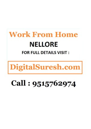 Work from home  nellore