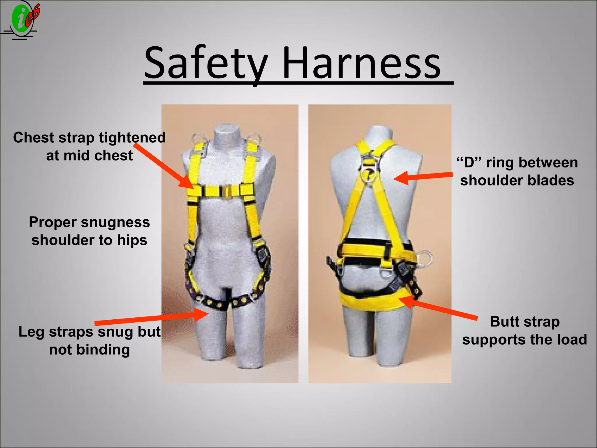 Safety Harness
Chest strap tightened
at mid chest
Butt strap
supports the load
Proper snugness
shoulder to hips
Leg straps snug but
not binding
“D” ring between
shoulder blades
 