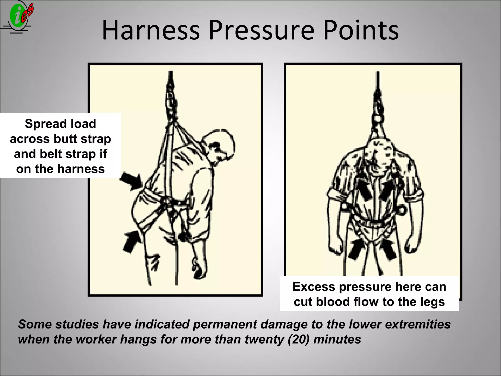 Harness Pressure Points
Spread load
across butt strap
and belt strap if
on the harness
Excess pressure here can
cut blood flow to the legs
Some studies have indicated permanent damage to the lower extremities
when the worker hangs for more than twenty (20) minutes
 