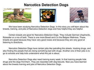 Narcotics Detection Dogs We have been studying Narcotics Detection Dogs. In this story you will learn about the breeds, training, and jobs of Narcotics Detection dogs and how helpful they are helpful.  Certain breeds are good for Narcotics Detection Dogs. They include German shepherds, Rotweiler or a mix of both. There is one more Breed and it is the Belgian Malinioia. These breeds are good because they have very good noses and because they are very good at listening to directions. Narcotics Detection Dogs have certain jobs like patrolling the streets, tracking drugs, and also finding the people that are doing something bad with drugs. Another one of their jobs is to go to schools and help kids understand what this job is about. Narcotics Detection Dogs also need training every week. In that training people hide drugs and the dogs find them. They are rewarded with dog biscuits. Now you have learned about the breeds training and jobs of Narcotics Detection Dogs. 