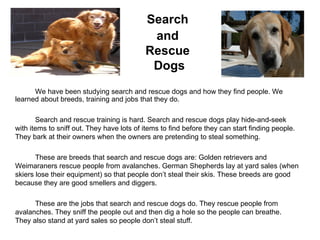 Search  and  Rescue  Dogs We have been studying search and rescue dogs and how they find people. We learned about breeds, training and jobs that they do.  Search and rescue training is hard. Search and rescue dogs play hide-and-seek with items to sniff out. They have lots of items to find before they can start finding people. They bark at their owners when the owners are pretending to steal something. These are breeds that search and rescue dogs are: Golden retrievers and Weimaraners rescue people from avalanches. German Shepherds lay at yard sales (when skiers lose their equipment) so that people don’t steal their skis. These breeds are good because they are good smellers and diggers.  These are the jobs that search and rescue dogs do. They rescue people from avalanches. They sniff the people out and then dig a hole so the people can breathe. They also stand at yard sales so people don’t steal stuff. 