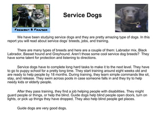   Service Dogs We have been studying service dogs and they are pretty amazing type of dogs. In this report you will read about service dogs’ breeds, jobs, and training. There are many types of breeds and here are a couple of them: Labrador mix, Black Labrador, Basset hound and Greyhound. Aren’t those some cool service dog breeds?  They have some talent for protection and listening to directions.  Service dogs have to complete long hard tasks to make it to the next level. They have to go to puppy school for a pretty long time. They start training around eight weeks old and are ready to help people by 18 months. During training, they learn simple commands like sit, stay, and release. They swim across pools in case someone falls in and they try to help needy kids or elderly people.  After they pass training, they find a job helping people with disabilities. They might guard people or things, or help the blind. Guide dogs help blind people open doors, turn on lights, or pick up things they have dropped. They also help blind people get places. Guide dogs are very good dogs.  