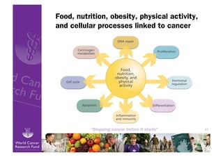 Food, nutrition, obesity, physical activity,
and cellular processes linked to cancer




                                               11
 