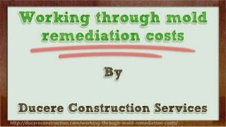 Working through mold remediation costs 