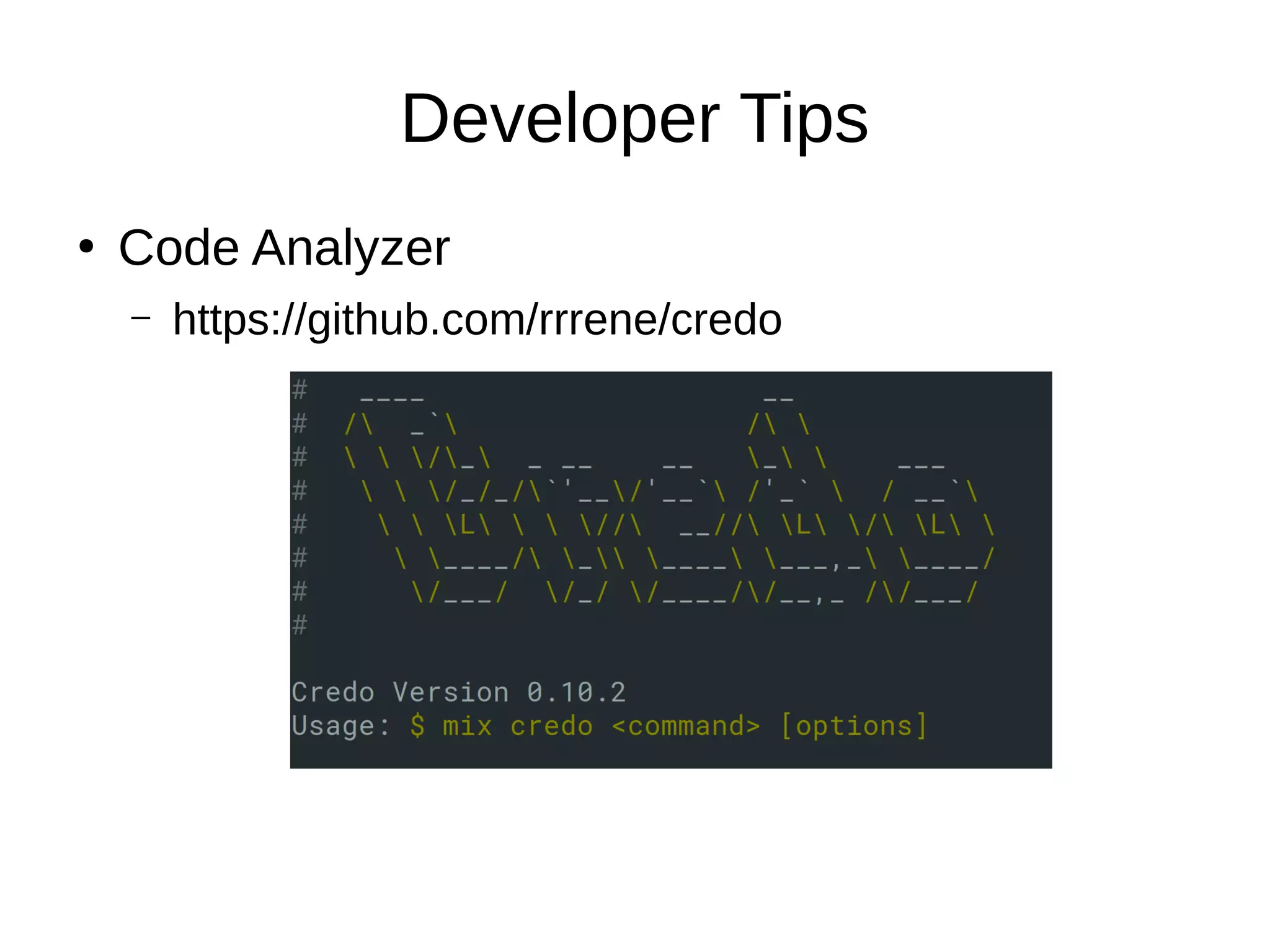 Developer Tips
●
Code Analyzer
– https://github.com/rrrene/credo
 