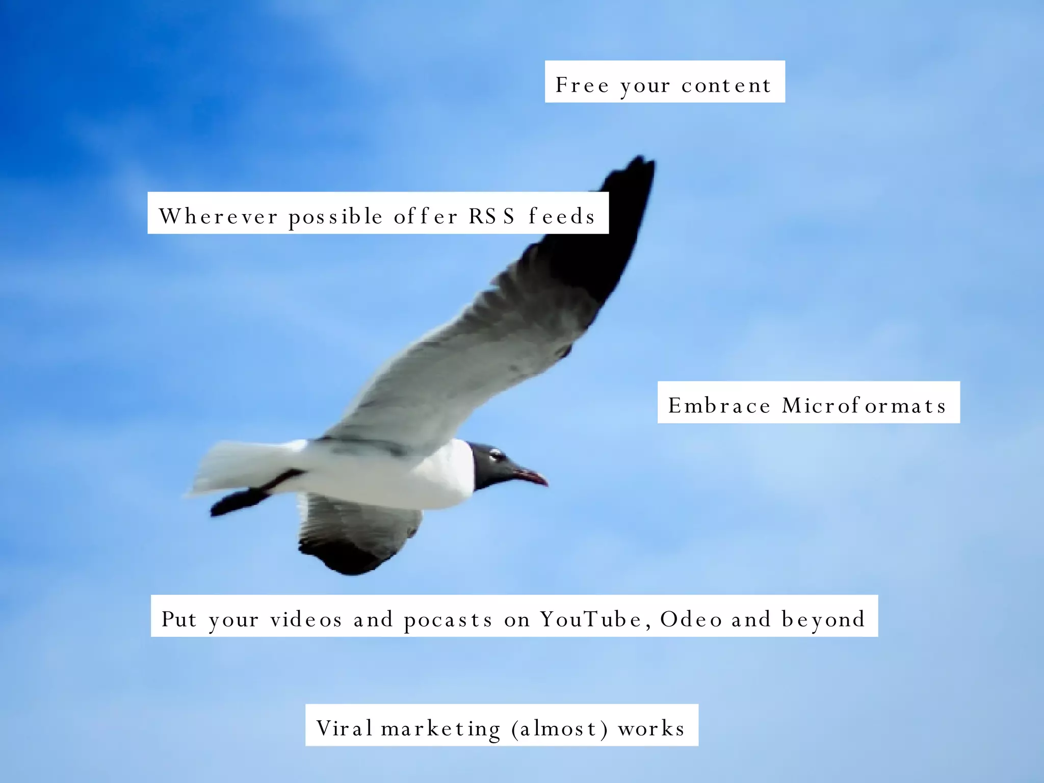 Free your content Wherever possible offer RSS feeds Embrace Microformats Put your videos and pocasts on YouTube, Odeo and beyond Viral marketing (almost) works 