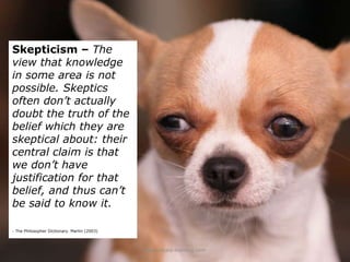 Skepticism – The view that knowledge in some area is not possible. Skeptics often don’t actually doubt the truth of the be...