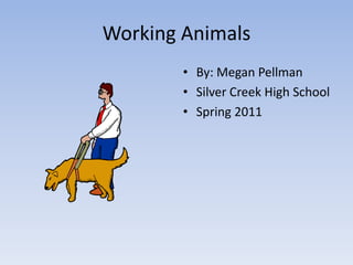 Working Animals By: Megan Pellman Silver Creek High School Spring 2011 