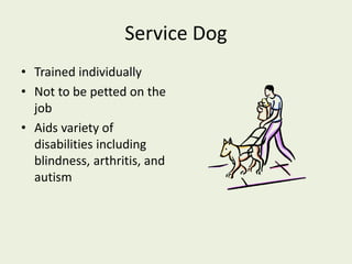 Service Dog
• Trained individually
• Not to be petted on the
job
• Aids variety of
disabilities including
blindness, arthritis, and
autism
 
