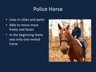 Police Horse
• Uses in cities and parks
• Able to move more
freely and faster
• In the beginning there
was only one rented
horse
 