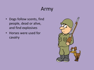 Army
• Dogs follow scents, find
people, dead or alive,
and find explosives
• Horses were used for
cavalry
 