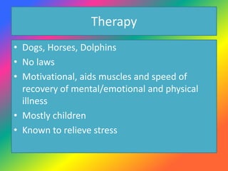 Therapy
• Dogs, Horses, Dolphins
• No laws
• Motivational, aids muscles and speed of
recovery of mental/emotional and physical
illness
• Mostly children
• Known to relieve stress
 