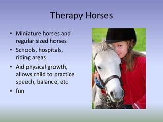 Therapy Horses
• Miniature horses and
regular sized horses
• Schools, hospitals,
riding areas
• Aid physical growth,
allows child to practice
speech, balance, etc
• fun
 
