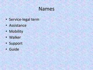 Names
• Service-legal term
• Assistance
• Mobility
• Walker
• Support
• Guide
 