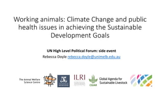 Working animals: Climate Change and public
health issues in achieving the Sustainable
Development Goals
UN High Level Political Forum: side event
Rebecca Doyle rebecca.doyle@unimelb.edu.au
The Animal Welfare
Science Centre
 