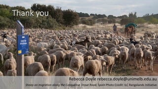 Working animals: Climate change and public health issues in achieving the Sustainable Development Goals