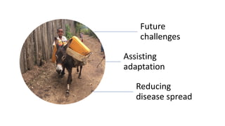 Working animals: Climate change and public health issues in achieving the Sustainable Development Goals