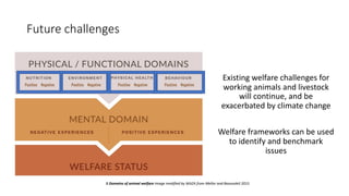 Working animals: Climate change and public health issues in achieving the Sustainable Development Goals