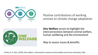 Working animals: Climate change and public health issues in achieving the Sustainable Development Goals